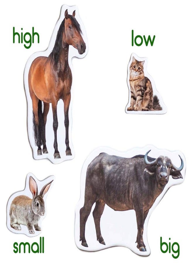 magdum Fridge Magnets for Toddlers - Magdum - 16 Farm Animal Magnets for Refrigerator - Magnetic Animals for Children - Realistic magnets for Kids - Learning Set - Baby Educational Gift - Image 5